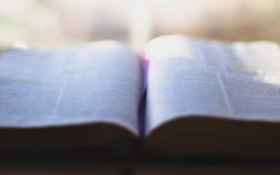 10 Proverbs for Event Planners