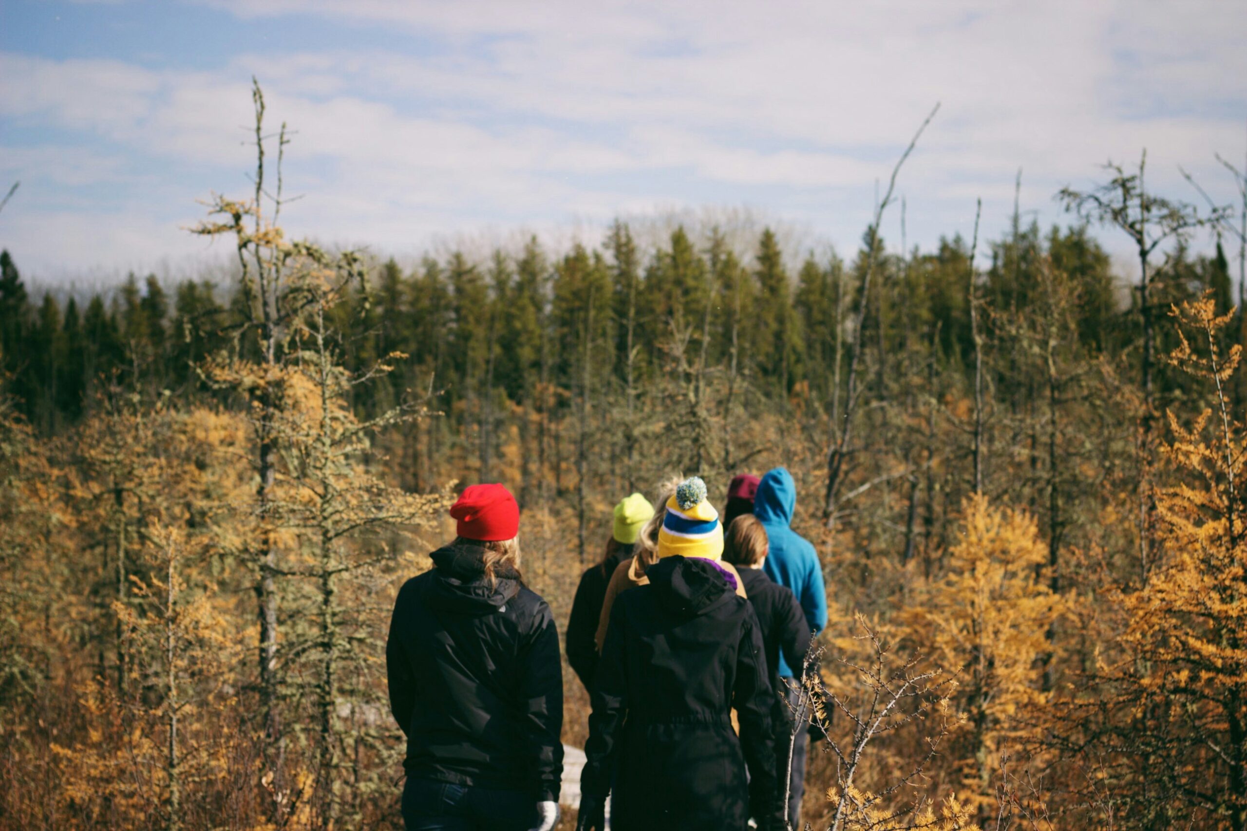 group of people hiking in the fall