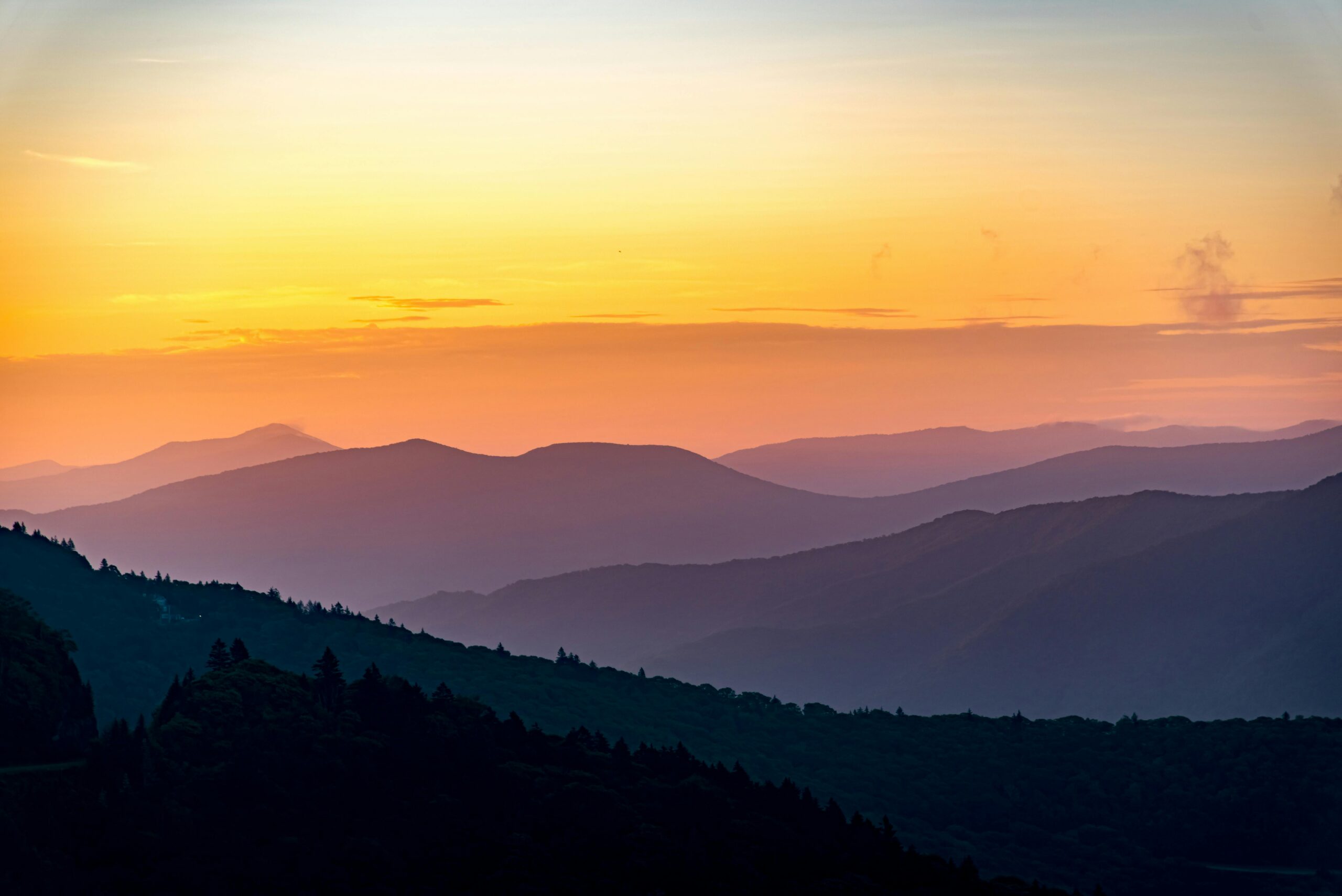 pexels-connorscottmcmanus-13258084